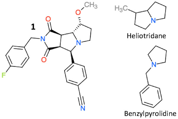 The structure of compound 1, heliotridane, and benzylpyrolidine.