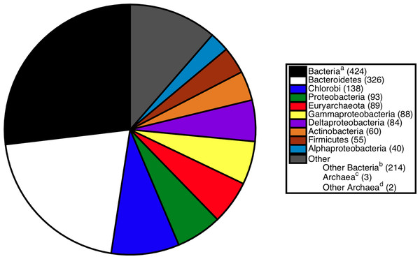 Breakdown of sister relationships to the subtree for S. ruber in 2,315 gene trees generated for strain M8.