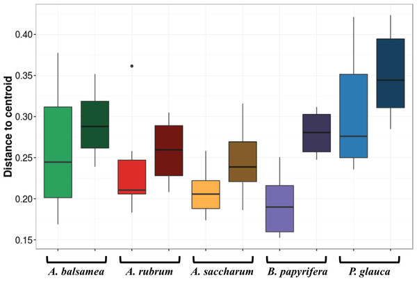 Permutation test for homogeneity of multivariate dispersions in leaf bacterial communities between per species intra- and inter-individual samples.