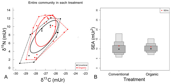 (A) Biplot of N and C stable isotope ratios and (B) SIAR density plots for treatment communities.