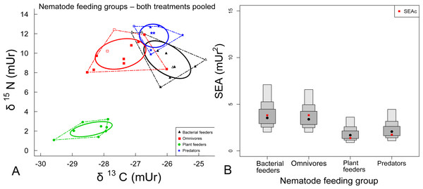 (A) Biplot of N and C stable isotope ratios and (B) SIAR density plots for nematode feeding groups.