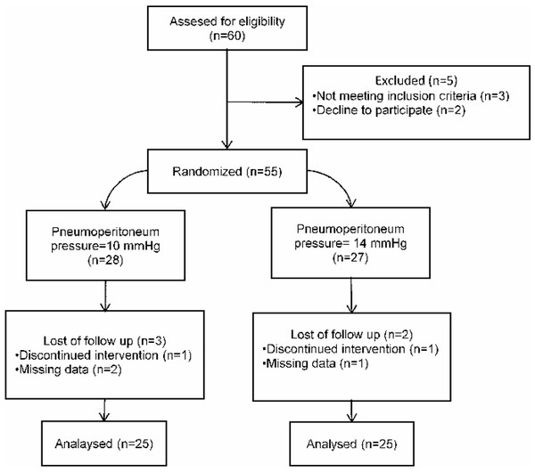 Flowchart diagram of the study.