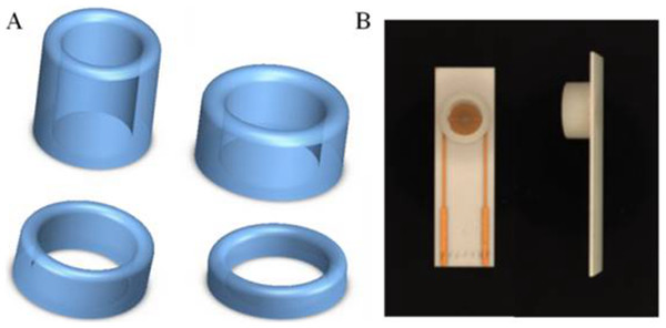 (A) 3D printed ring devices with different diameters and (B) SPIM with ring device to form a nest-like device.