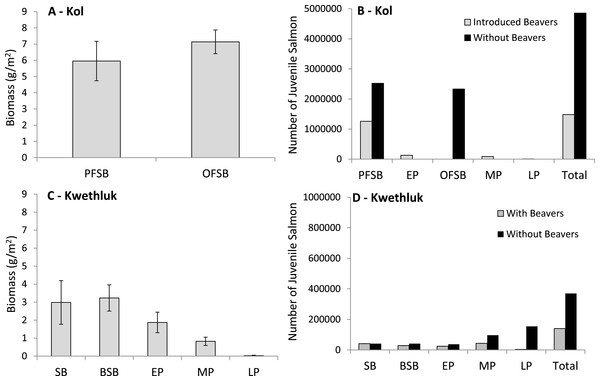 Mean (±1 SE) juvenile salmon biomass produced per unit area for off-channel floodplain habitats in (A) the Kol and (C) the Kwethluk and the total number of juvenile coho and Chinook produced by off-channel habitat type for the (B) Kol and (D) Kwethluk.