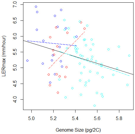 Relation between Genome Size and LERmax within and among groups (Flints in blue, Dents in red, and Tropicals in cyan). The plain line illustrates the linear regression for all data, while colored dotted lines correspond to linear regressions within each group.