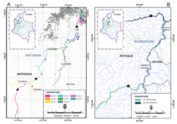 Development and characterization of 24 polymorphic microsatellite loci ...