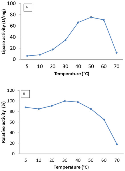 Effect of temperature on purified AMS3 lipase activity.