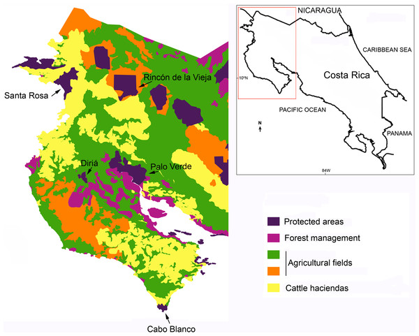 Dry forest fragments and land use in northwestern Costa Rica.