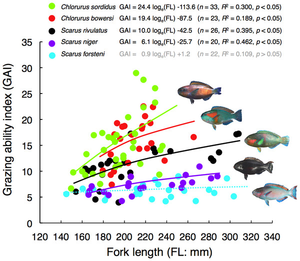 Relationships between fork length (FL) and grazing ability index (GAI) for the five parrotfish species.