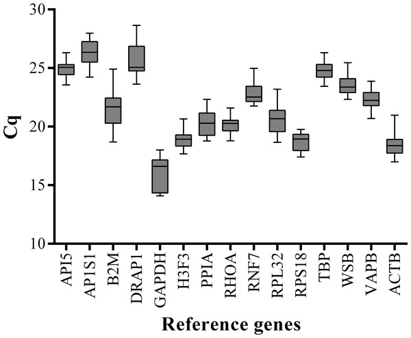 Box-and-whisker plot displaying the range of Cq values for each reference gene.