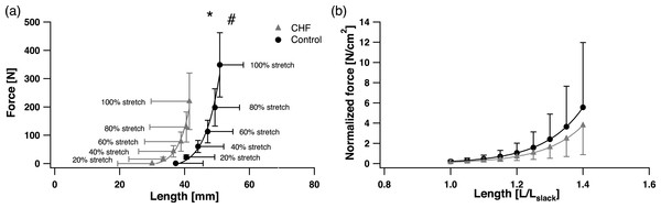 Soleus passive force-length (F-L) relationship (A) and passive F-L relationship normalized by individual PCSA and Lslack (B).