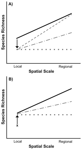 Species loss and recovery at local and regional spatial scales.