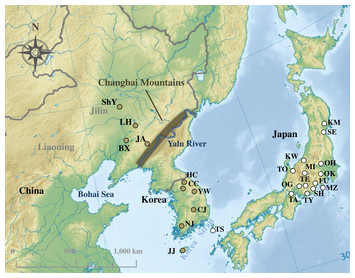 Phylogenetic relationships and evolutionary history of the greater ...