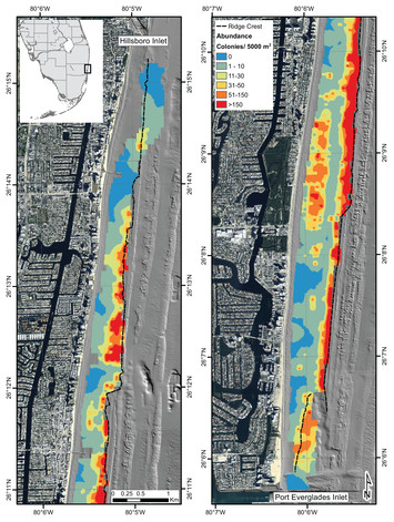 Investigating the spatial distribution and effects of nearshore ...