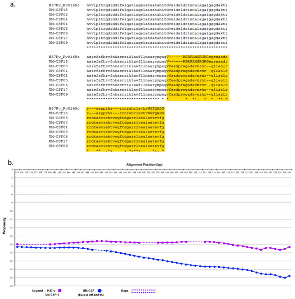 (A) Alignment of Rv0165c sequences in eight UM-CSF strains and H37Rv, showing amino acid and globularity changes.