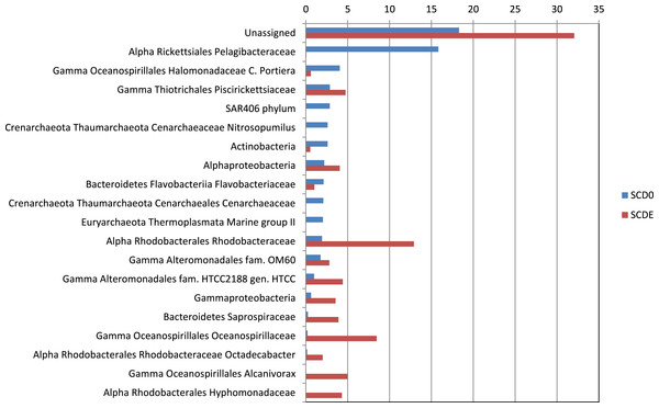Taxonomic composition of the two metagenomes (in percentage).