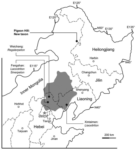 Area map showing geographic distribution of salamander fossil localities in the Lower Cretaceous of northeastern China.