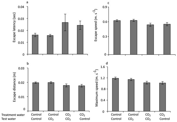 The effect of rearing treatment (control or high CO2) and test water used in the experimental trial (control or high CO2) on the escape performance of larval P. amboinensis.