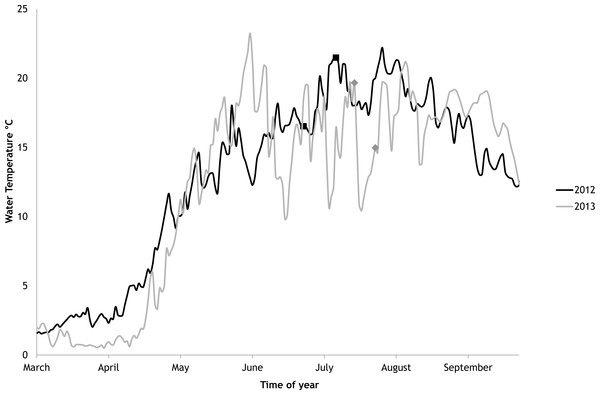 Temporal variations of water temperature during the vegetation periods of 2012 and 2013 (continuous recordings).