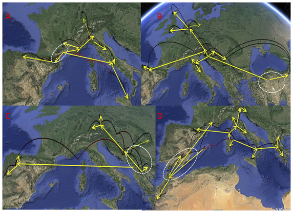 Phylogeographic reconstruction of the history of each lineage.