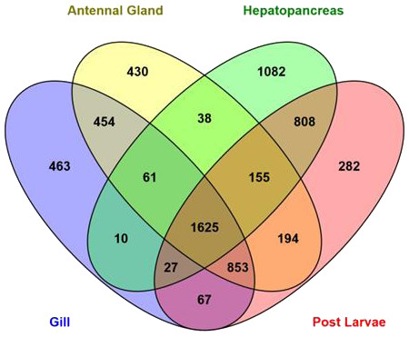 Number of expressed genes in different samples.