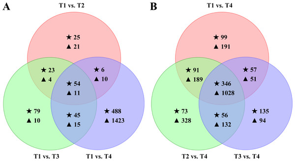 Effects of the elevated CO2 treatments on the Coptotermes formosanus transcriptome.