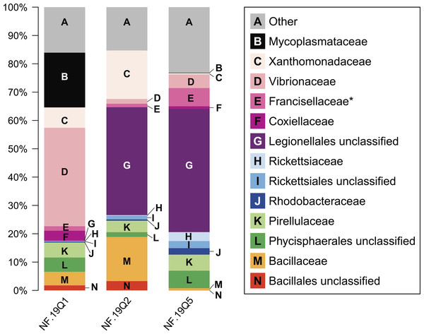 Relative abundance of common taxonomic groups in P. placomus samples.