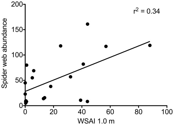 The abundance of spider webs as a function of web scaffold availability index (WSAI) at 1.0 m.