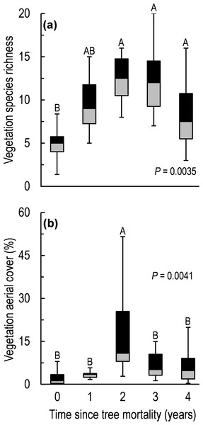 Vegetation species richness (A) and aerial cover (B) along a five-year chronosequence of insect-induced tree mortality.
