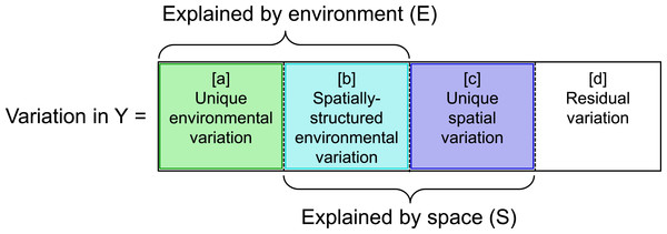 Graphic illustrating variation partitioning of a response matrix or vector (Y) with respect to two predictor matrices related to environment (E) and space (S).