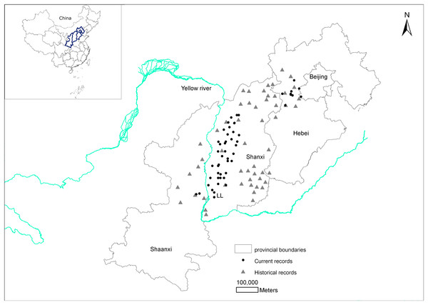 Changes in the distribution records of the brown eared-pheasant in China.