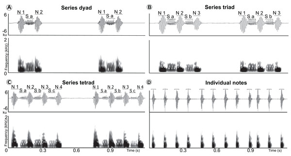 Waveform and spectrogram of the syllable types.
