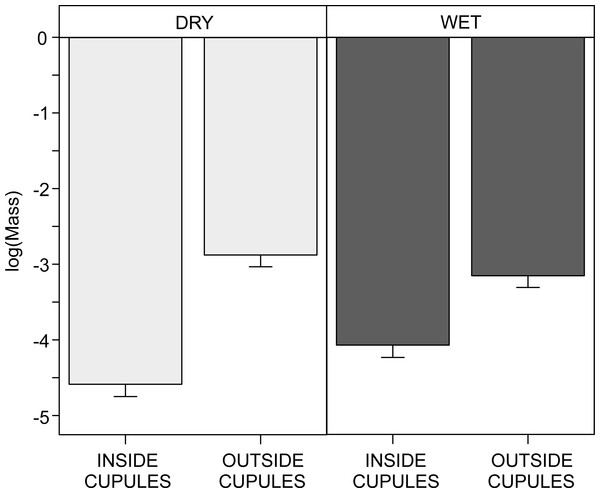 Interactive effect of water availability on the log-body mass (mg) of soil invertebrates found inside and outside the beech cupules.