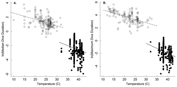 The temperature dependence of dive duration in vertebrates.