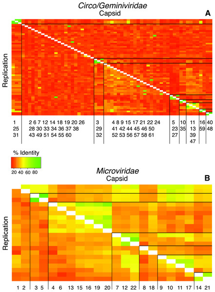 Heat maps visualize pairwise comparisons for the capsid and replication genes AA sequences between each genotype in the population.