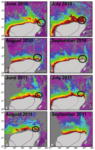 Monthly seasonal distribution of Chl-a during (A–D) May to September 2010 and (E–H) May to September 2011 based on data acquired from Modis-Aqua (NOAA).