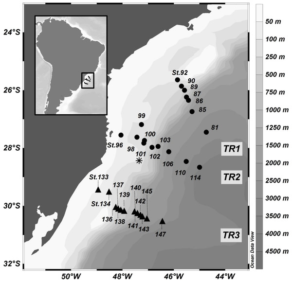 Location of sampling stations in the SAO off Brazil (11–18 November 2013).