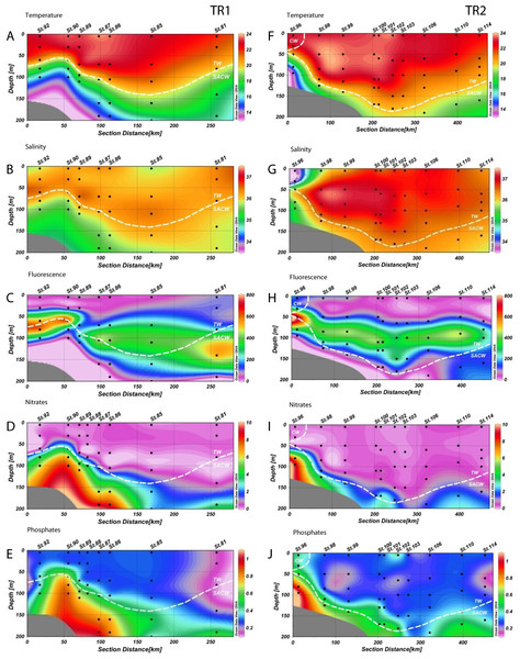 Distribution of environmental variables.