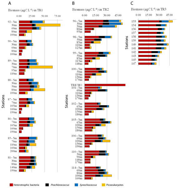 Biomass (µgC mL−1) estimated for total heterotrophic bacteria (in red), Prochlorococcus (black), Synechococcus (blue) and picoeukaryotes (yellow) for TR1, TR2 and TR3.