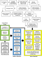 Ecological solutions to reef degradation: optimizing coral reef ...