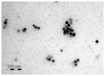 Effects of 14-day oral low dose selenium nanoparticles and selenite in ...