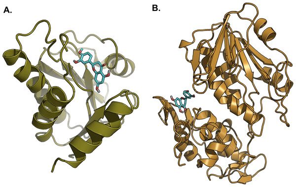 Lowest energy structure of ligand-receptor complexes.