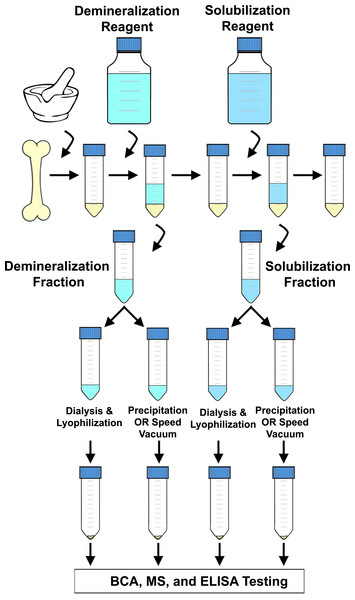 Flow chart depicting a generalized extraction method.