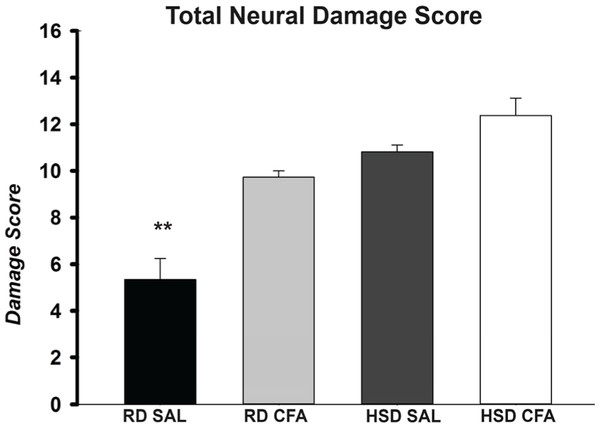 Total neuronal damage score.