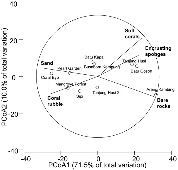 Similarity patterns of benthic assemblages.