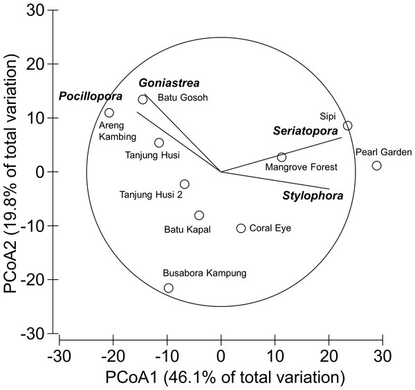 Similarity patterns of hard coral assemblages.