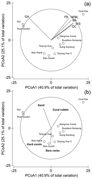 Similarity patterns of diseases and other signs of compromised health.