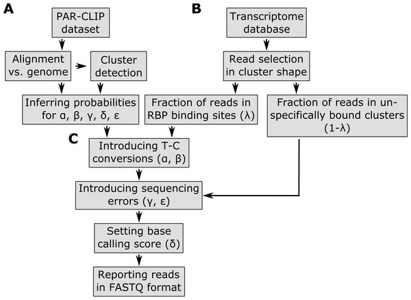 Pipeline of the PAR-CLIP read simulator implemented in the PARA-suite.