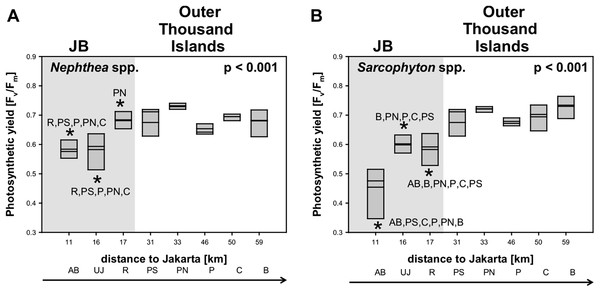 Mean electron transport system (ETS) activity Nephthea spp. and Sarcophyton spp. activity Nephthea spp. (A) and Sarcophyton spp. (B) for sites along the Thousand Islands (x-axis refers to distance to Jakarta).