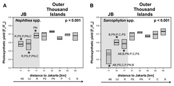 Abundance And Physiology Of Dominant Soft Corals Linked To Water ...